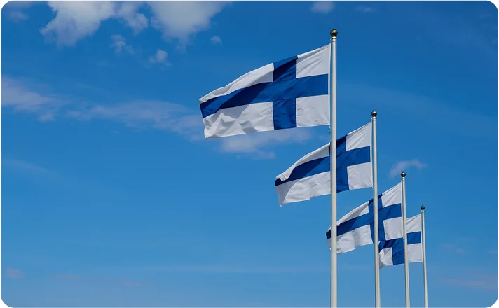 Umzug  Finnland Flags